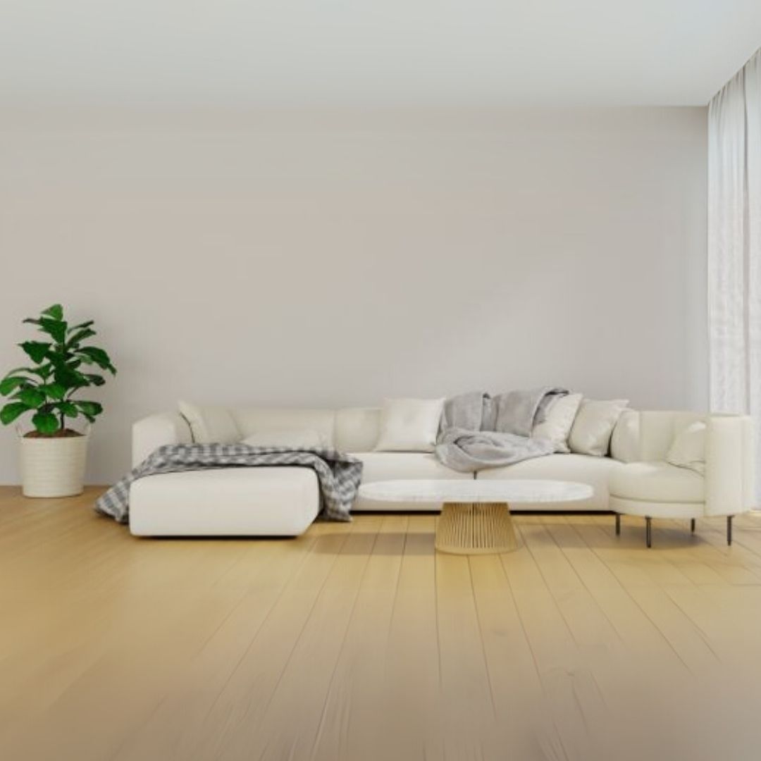 Is White Fabric Sofa Sofa Good for Home - Comprehensive Guide